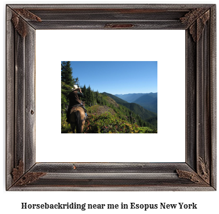 horseback riding near me in Esopus, New York